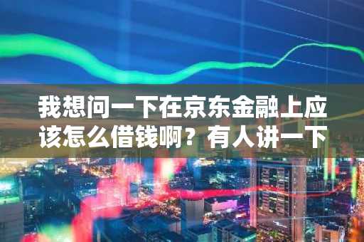 我想问一下在京东金融上应该怎么借钱啊？有人讲一下流程吗？
