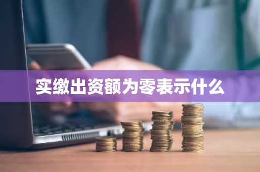 实缴出资额为零表示什么