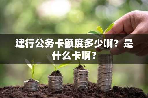 建行公务卡额度多少啊？是什么卡啊？