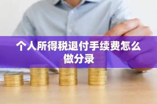 个人所得税退付手续费怎么做分录