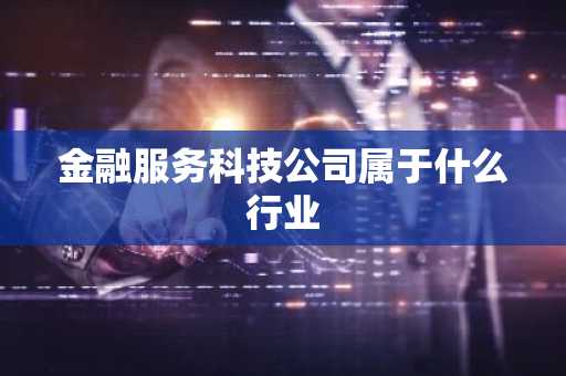 金融服务科技公司属于什么行业