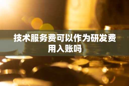 技术服务费可以作为研发费用入账吗