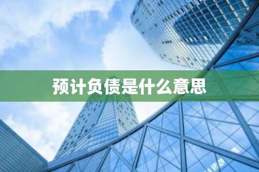 预计负债是什么意思