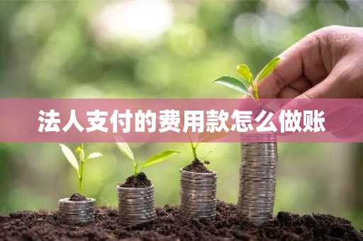 法人支付的费用款怎么做账