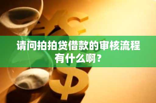 请问拍拍贷借款的审核流程有什么啊？