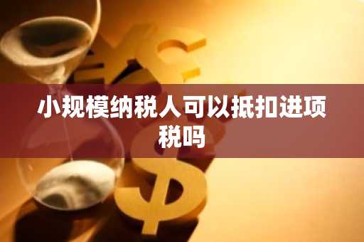 小规模纳税人可以抵扣进项税吗