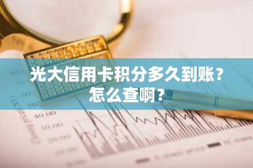 光大信用卡积分多久到账？怎么查啊？