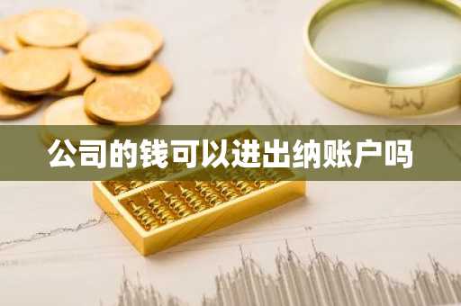 公司的钱可以进出纳账户吗