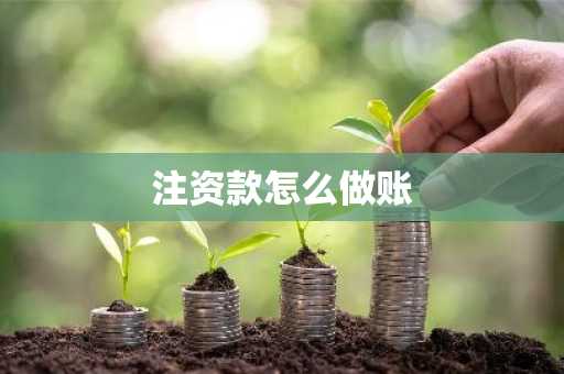 注资款怎么做账
