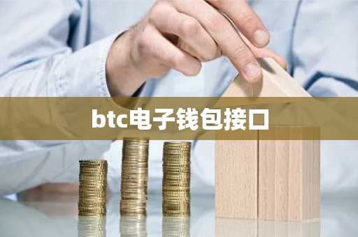 btc电子钱包接口