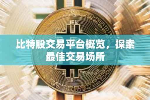 比特股交易平台概览，探索最佳交易场所