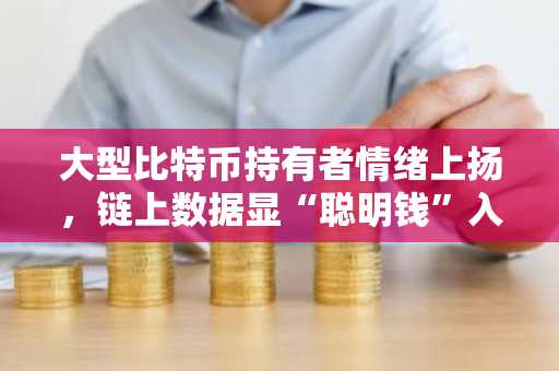 大型比特币持有者情绪上扬，链上数据显“聪明钱”入场