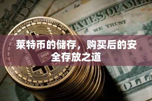 莱特币的储存，购买后的安全存放之道