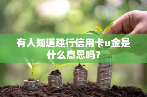 有人知道建行信用卡u金是什么意思吗？
