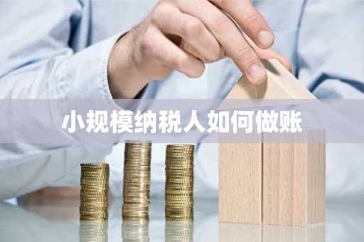 小规模纳税人如何做账