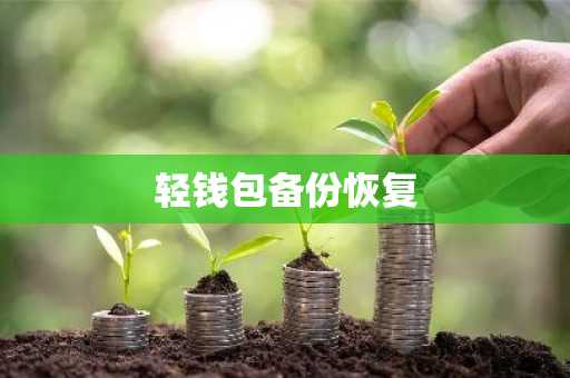 轻钱包备份恢复