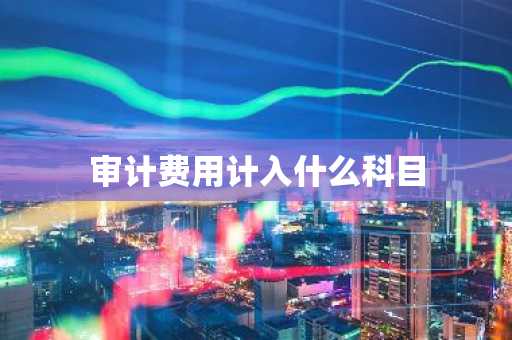 审计费用计入什么科目