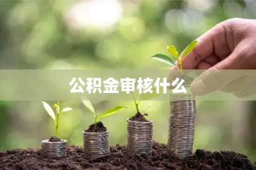 公积金审核什么