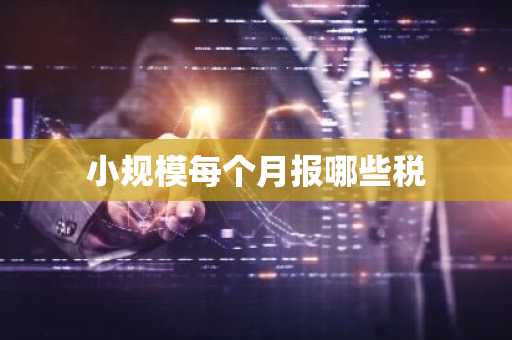 小规模每个月报哪些税