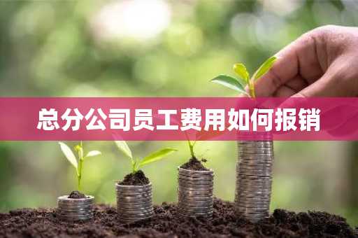 总分公司员工费用如何报销