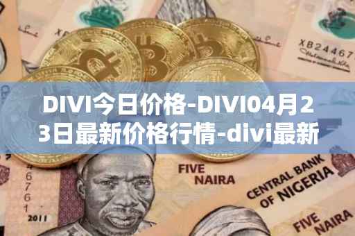 DIVI今日价格-DIVI04月23日最新价格行情-divi最新走势消息