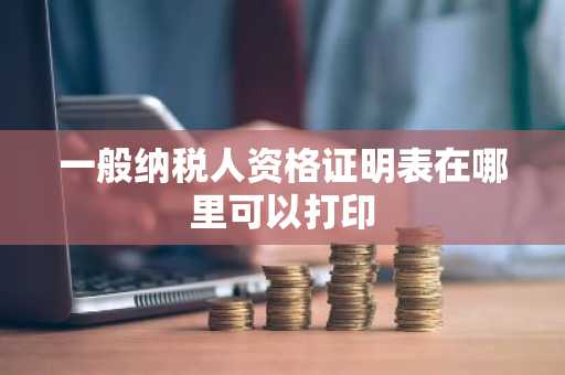 一般纳税人资格证明表在哪里可以打印