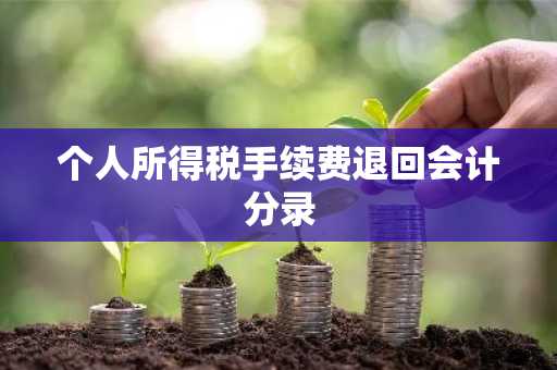 个人所得税手续费退回会计分录