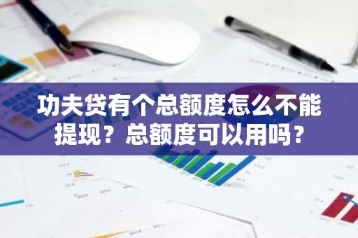 功夫贷有个总额度怎么不能提现？总额度可以用吗？