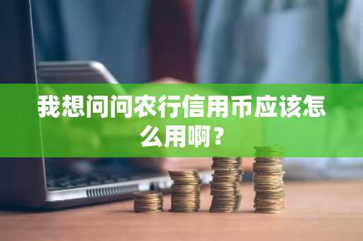 我想问问农行信用币应该怎么用啊？