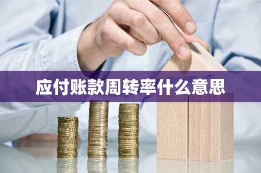 应付账款周转率什么意思