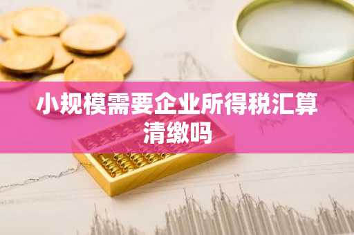 小规模需要企业所得税汇算清缴吗
