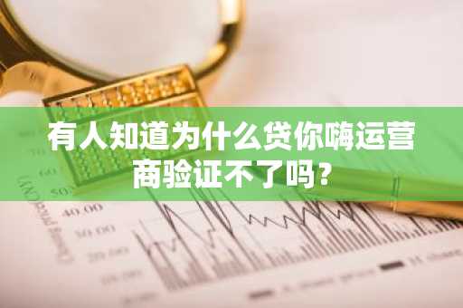 有人知道为什么贷你嗨运营商验证不了吗？