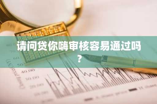 请问贷你嗨审核容易通过吗？