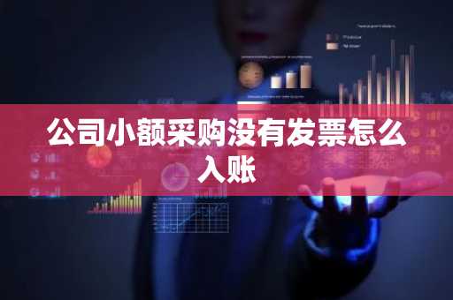 公司小额采购没有发票怎么入账