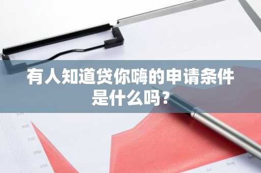 有人知道贷你嗨的申请条件是什么吗？