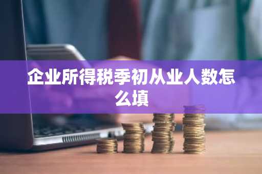企业所得税季初从业人数怎么填