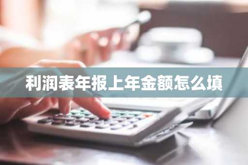 利润表年报上年金额怎么填