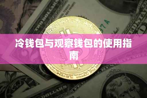 冷钱包与观察钱包的使用指南