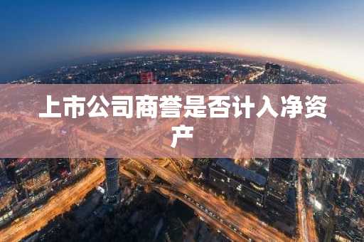 上市公司商誉是否计入净资产