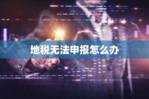地税无法申报怎么办