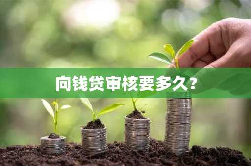 向钱贷审核要多久？