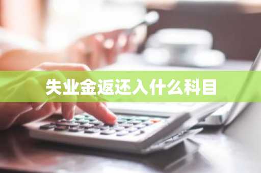 失业金返还入什么科目