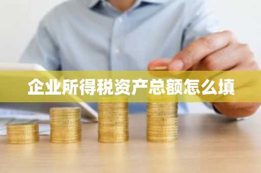 企业所得税资产总额怎么填
