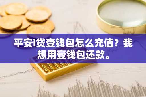 平安i贷壹钱包怎么充值？我想用壹钱包还款。
