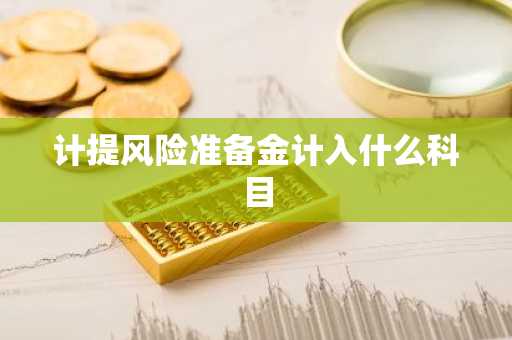 计提风险准备金计入什么科目