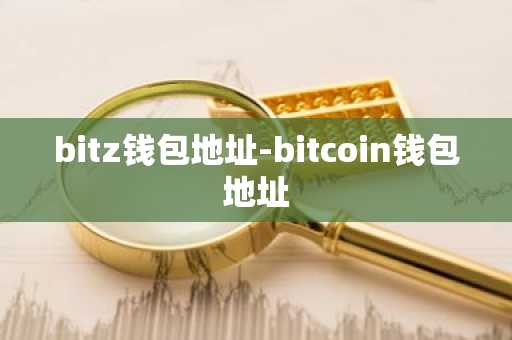 bitz钱包地址-bitcoin钱包地址