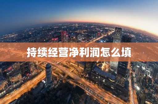 持续经营净利润怎么填