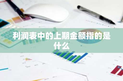 利润表中的上期金额指的是什么