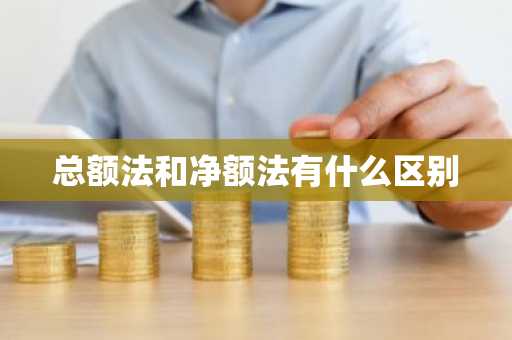 总额法和净额法有什么区别
