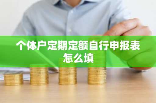 个体户定期定额自行申报表怎么填